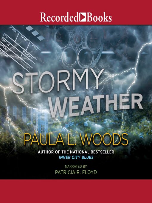 Title details for Stormy Weather by Paula Woods - Wait list